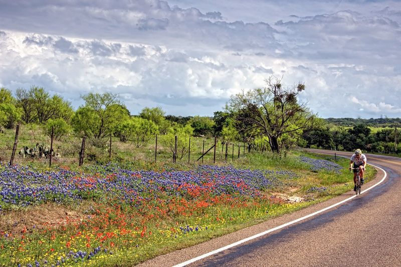 The roads were made for wandering