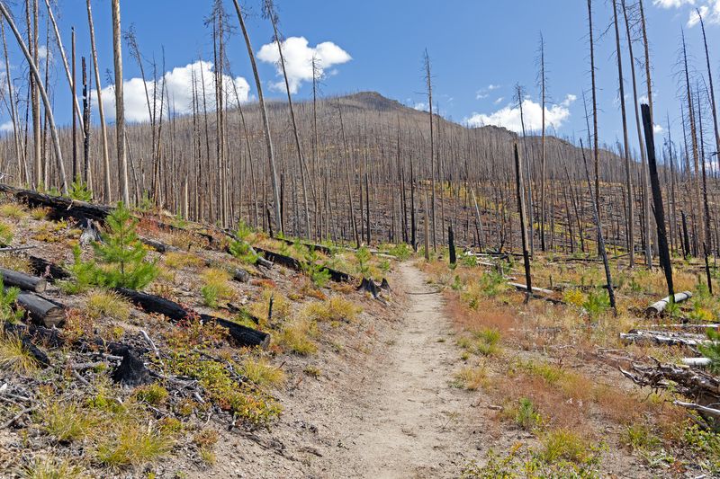 Rocky Mountain National Park: High-Altitude Fire Risks