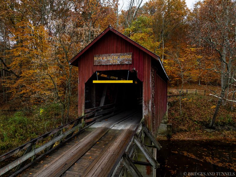 Bridges, Fame, and Fall Fever