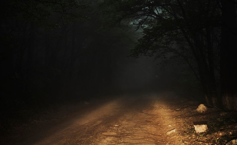 A Road Shrouded in Fear