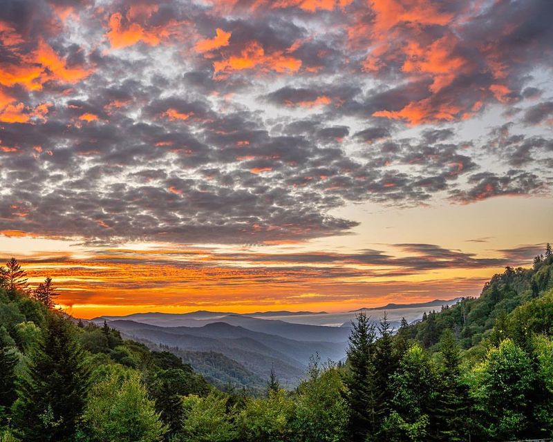When Tennessee Became Everyone’s Vacation Dream