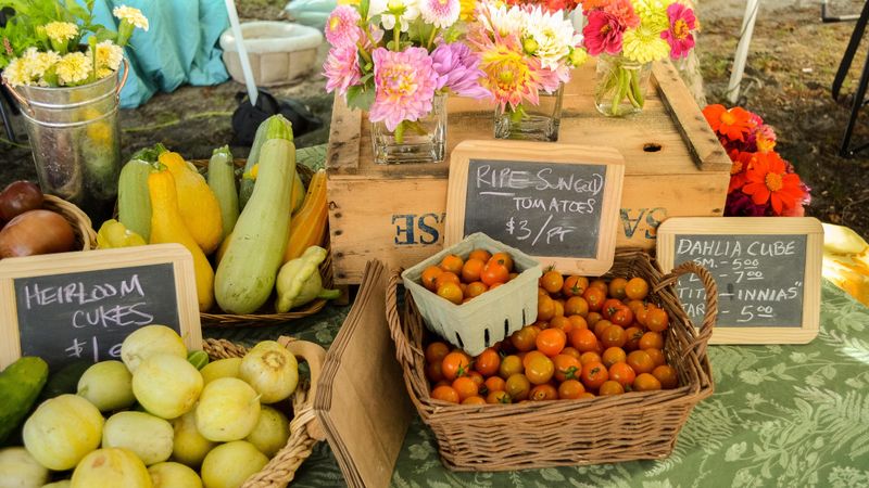 Coastal Charm And Market Magic