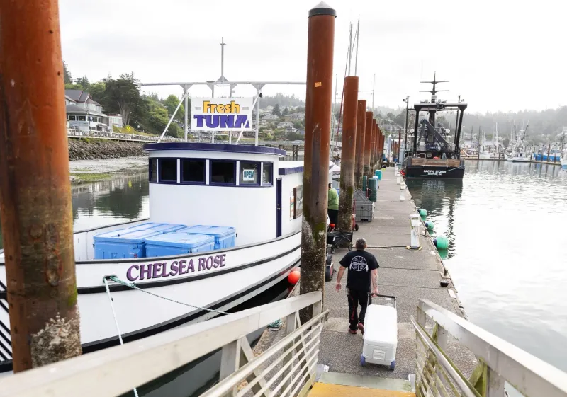 Direct access to working fleets