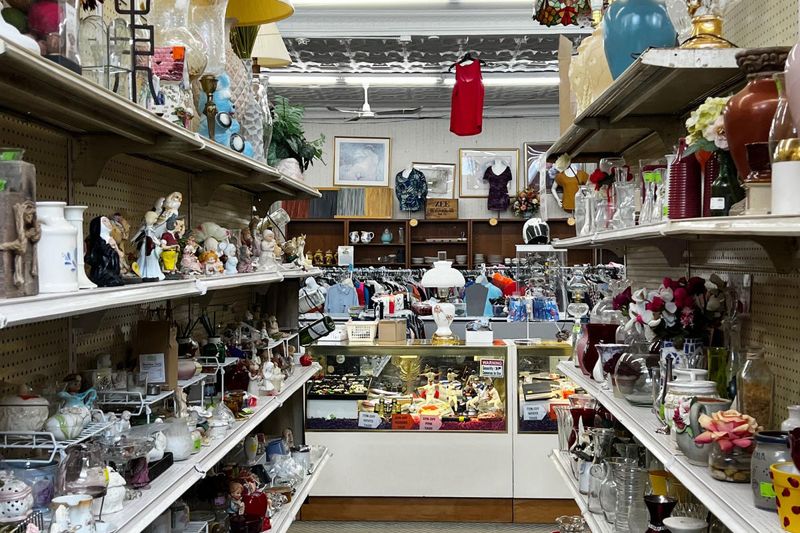 Front-Window Curiosity Hunt