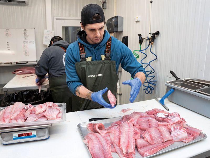 Bringing the Coast Inland: Locals Seafood Revolution