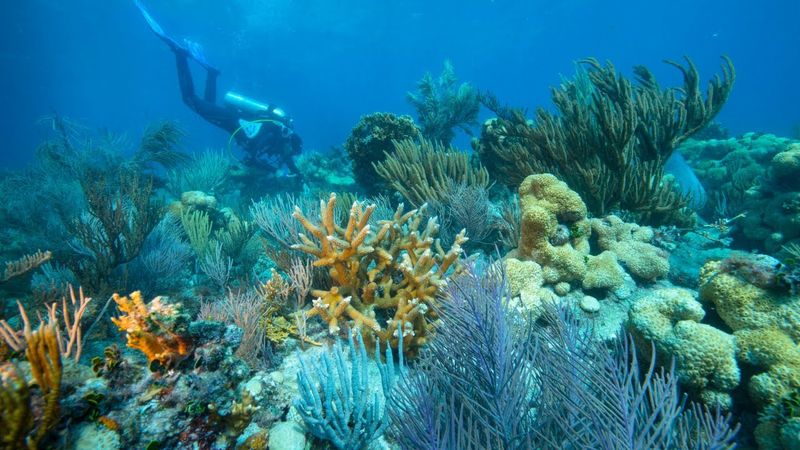 Building a Look-Don't-Touch Conservation Culture