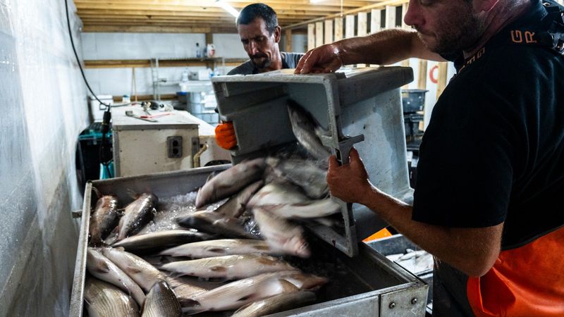 Lake Michigan quietly anchors the supply