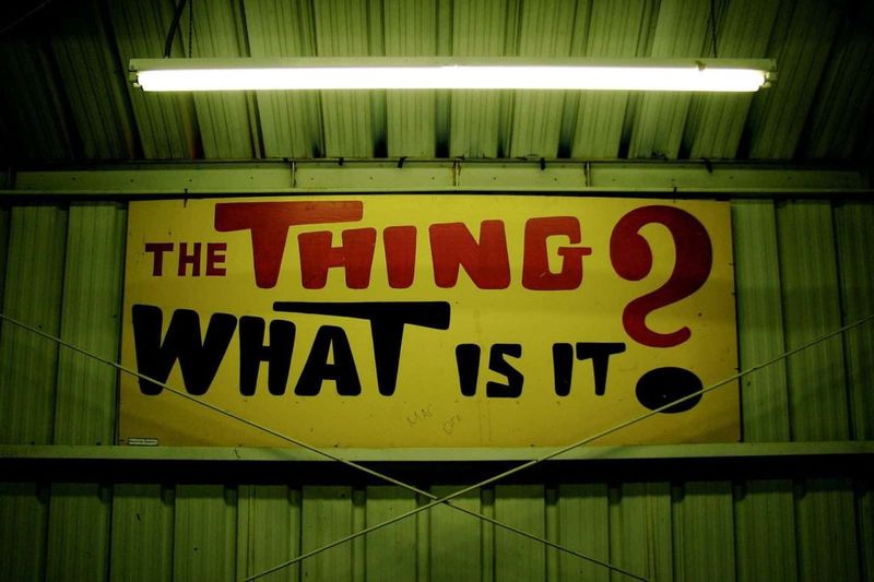 The Enduring Allure of America’s Roadside Weirdness