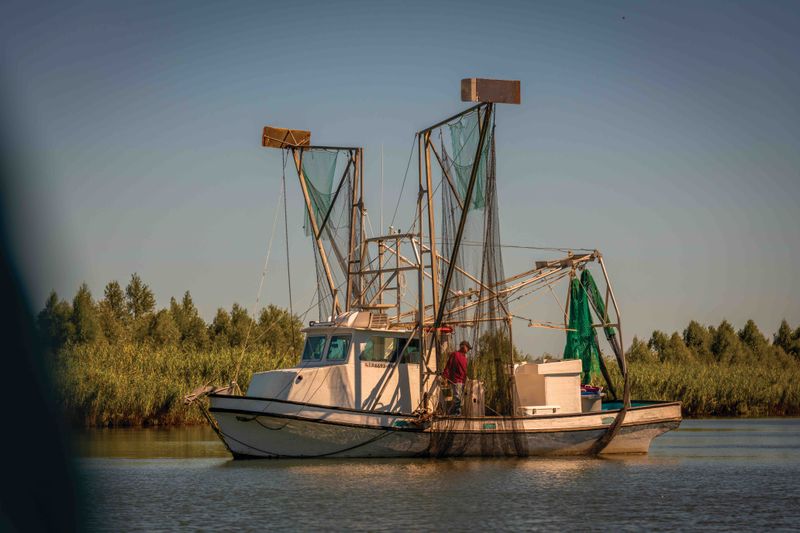 Boat to Plate in Hours