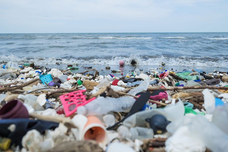 Seasonal Factors That Influence Beach Odors