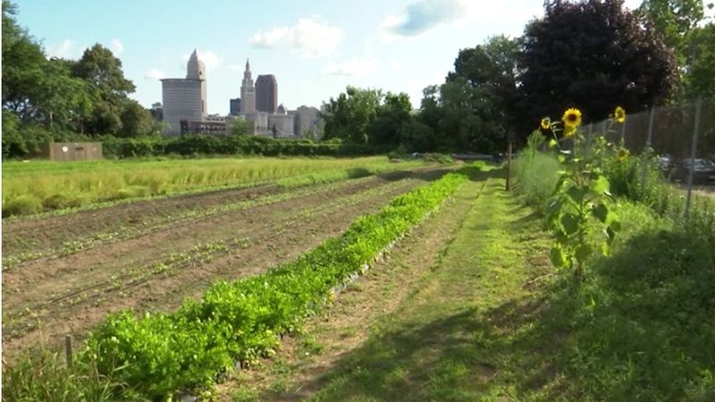 Local Ingredients That Speak for Themselves