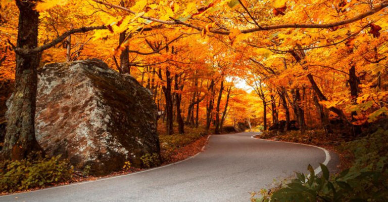 Why Vermont Locals Avoid The Fall Foliage Spots Tourists Swear By
