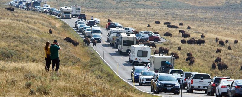 Vanishing Solitude: Overcrowded Parks Destroying Wilderness Experience