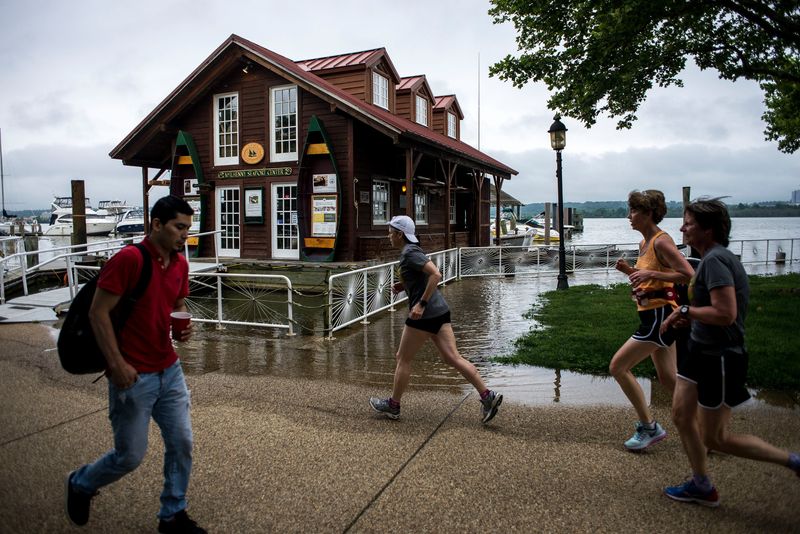 Alexandria’s Changing Waterfront