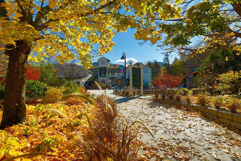 Smugglers' Notch State Park