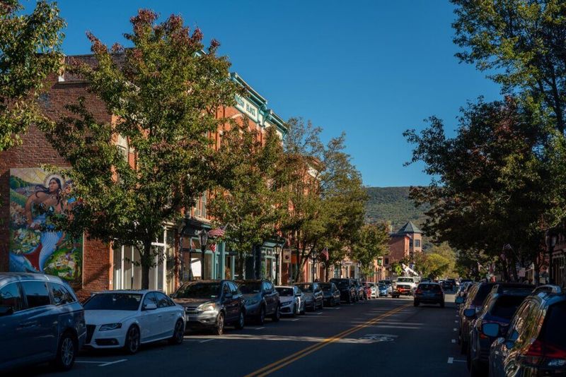 Cold Spring: Picture-Perfect but Overwhelmed