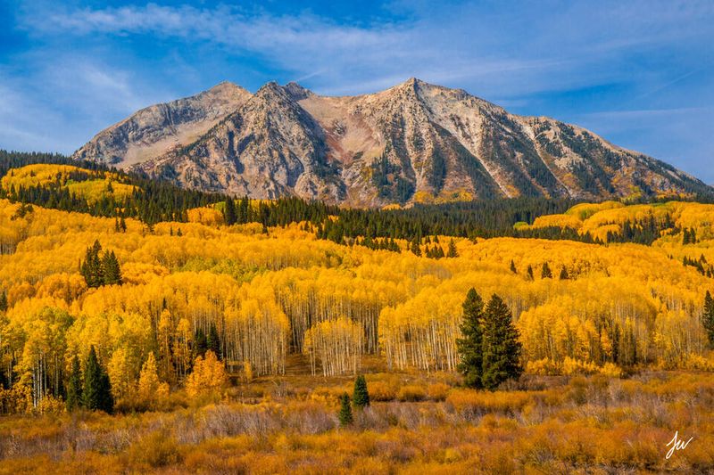 Stunning Fall Foliage on Kebler Pass