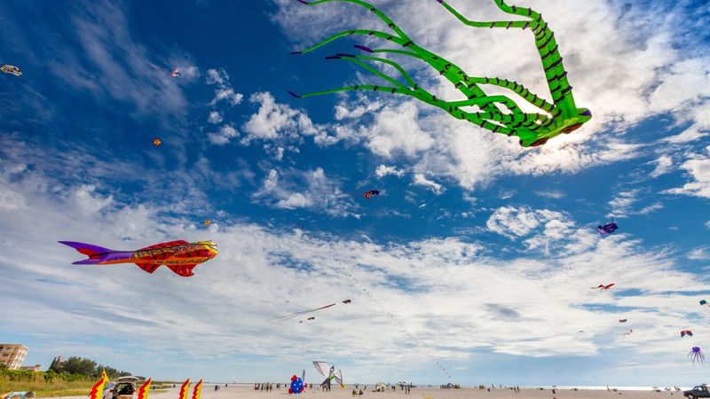 Kite Flying Extravaganza