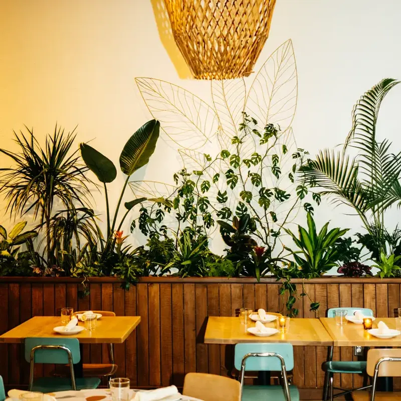 La Semilla: Latin-Inspired Plant Paradise