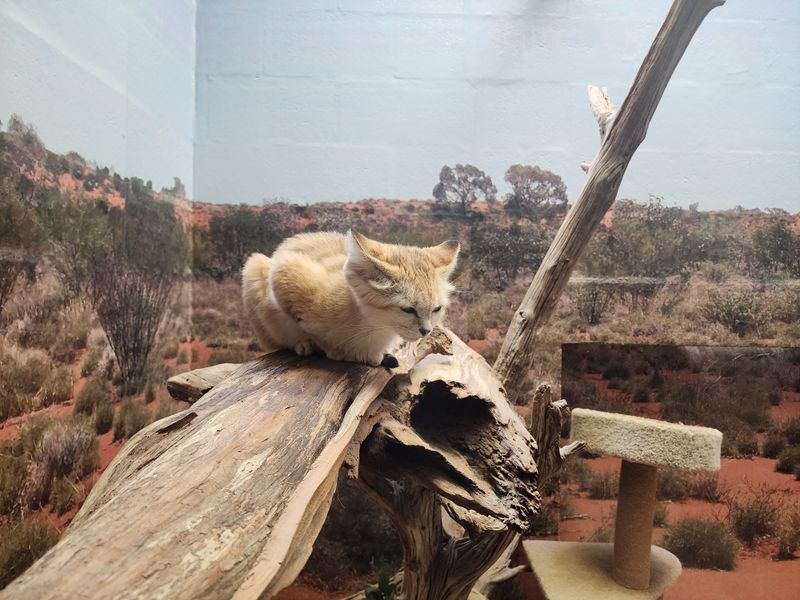 2. You Can Be Fined for Feeding Wildlife