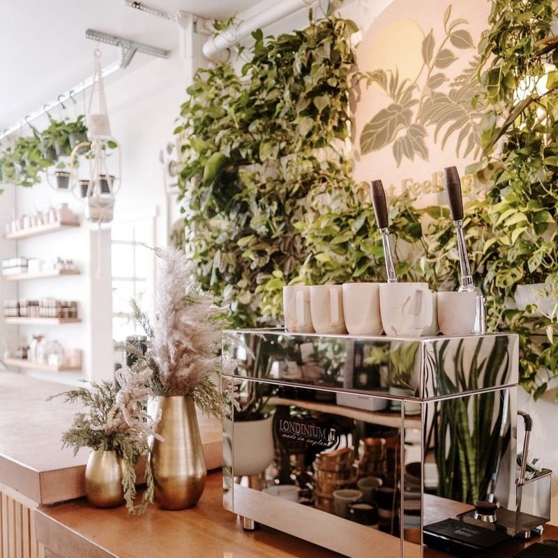 Refuge Coffee (Anchorage)