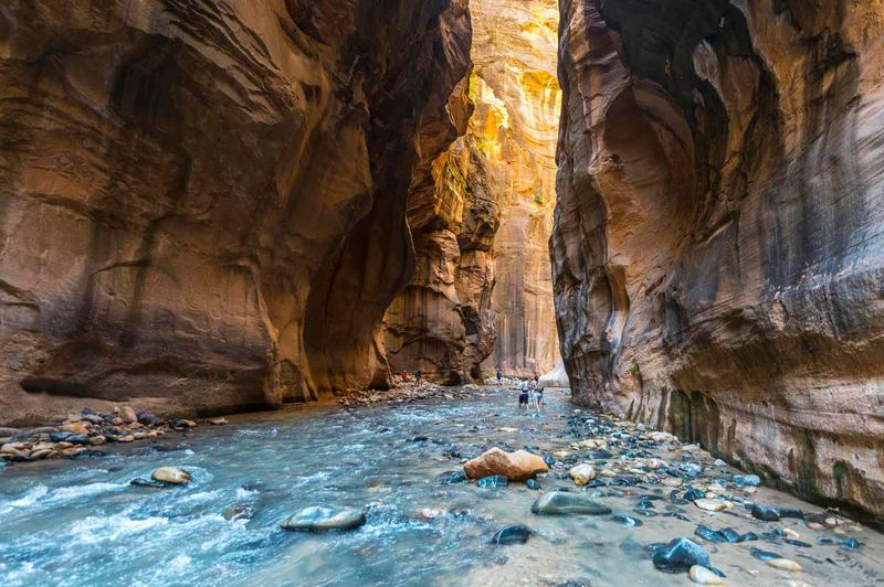 Hike Through the Narrows in Zion National Park