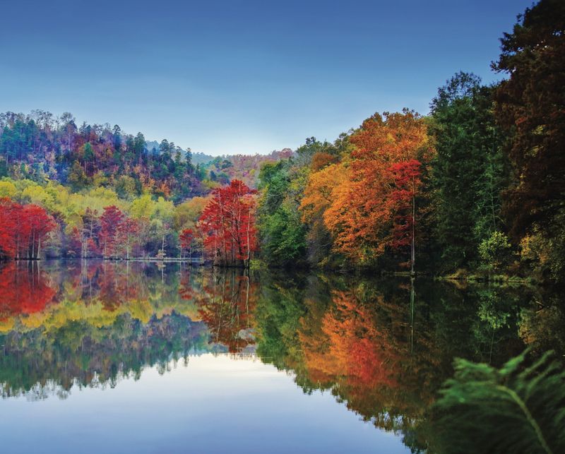 Broken Bow & Beavers Bend State Park