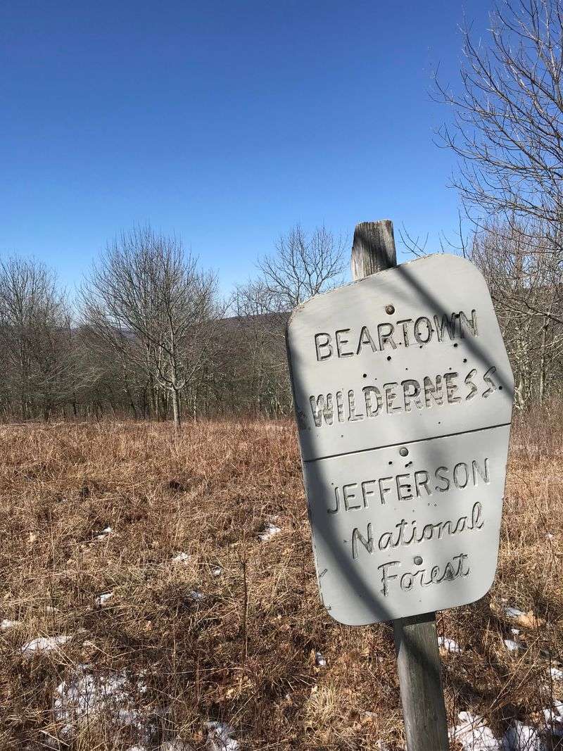 Beartown Wilderness, Tazewell County