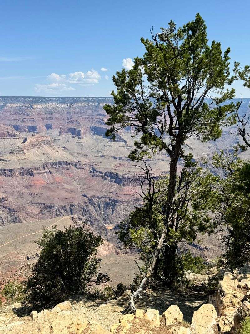 Stunning Rime Ice Vistas