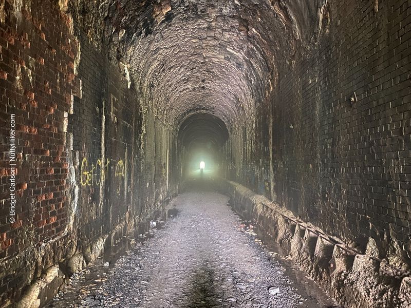 Brandy Gap Tunnel #2 (Flinderation Tunnel)