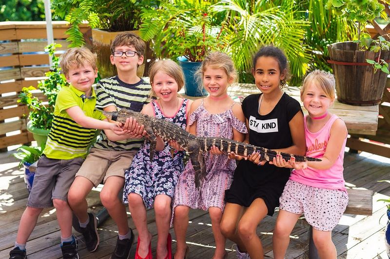 8. Bringing Non-native Wildlife as Pets