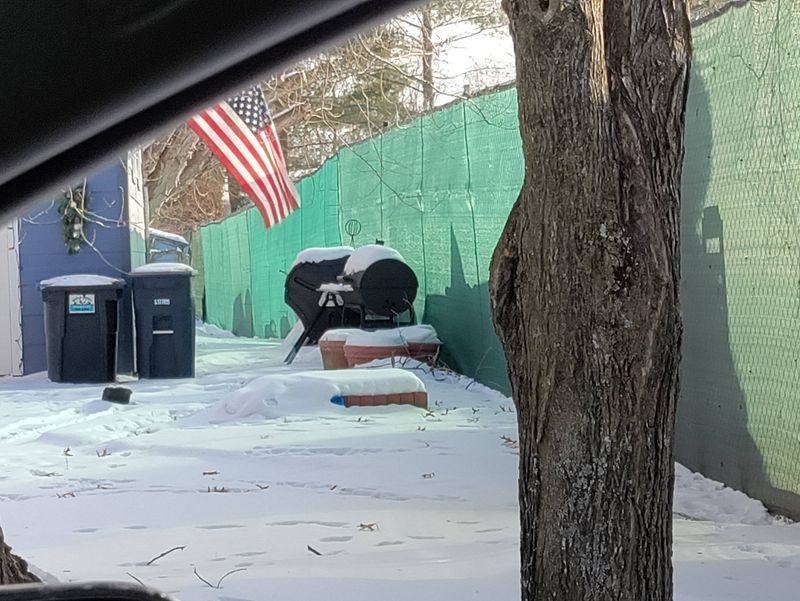 The Smell of the North Woods: Pine, Fires, and Fresh Snow