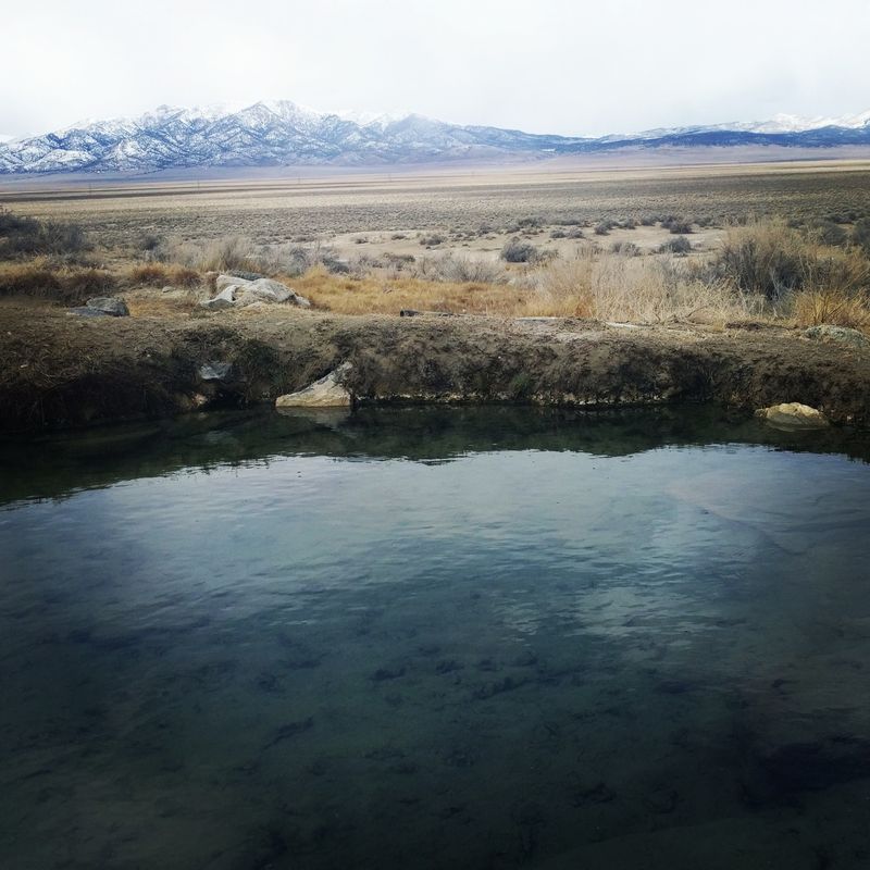 A Winter Scene Shaped by Quiet Desert Winds