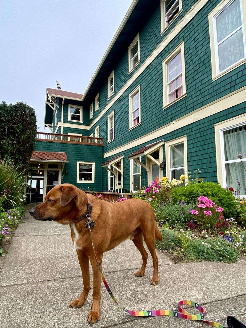 Hotel Sylvia’s History Along Newport’s Waterfront