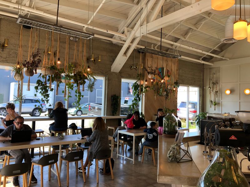 Indie Coffee Shops and Surf Shacks Everywhere