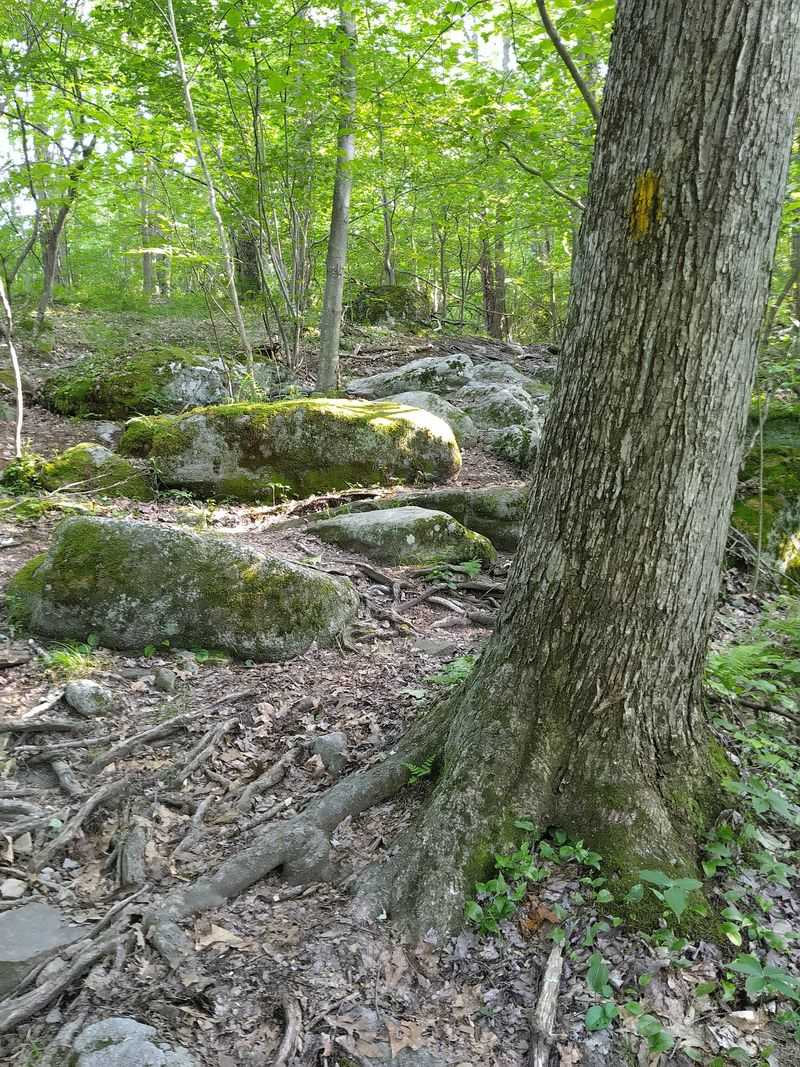 Trails That Start at the Village’s Edge