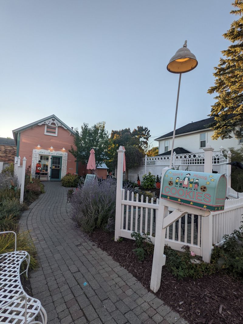 Seasonal Traditions That Make the City Feel Festive