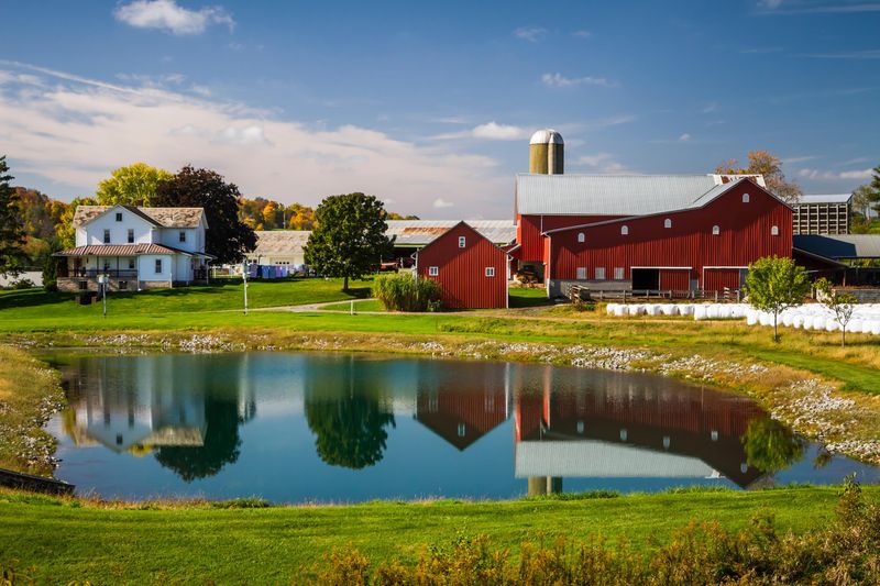 A Pace That Encourages Unplanned Visits