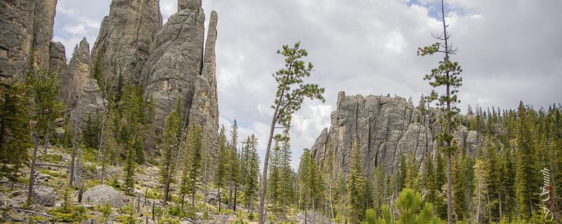 Beyond Rushmore: What Locals Wish You’d See Instead