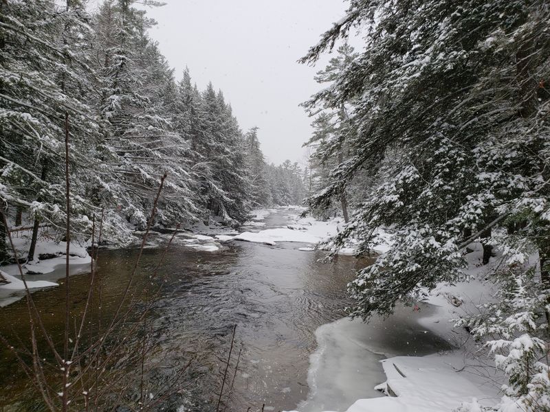 Snowfall That Transforms the Entire Landscape