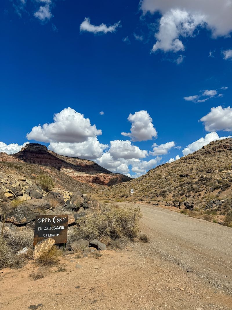 Desert Views That Shape the Entire Experience
