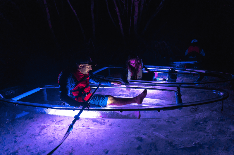 Get Up and Go Kayaking – Clear Kayak Bioluminescence Tour