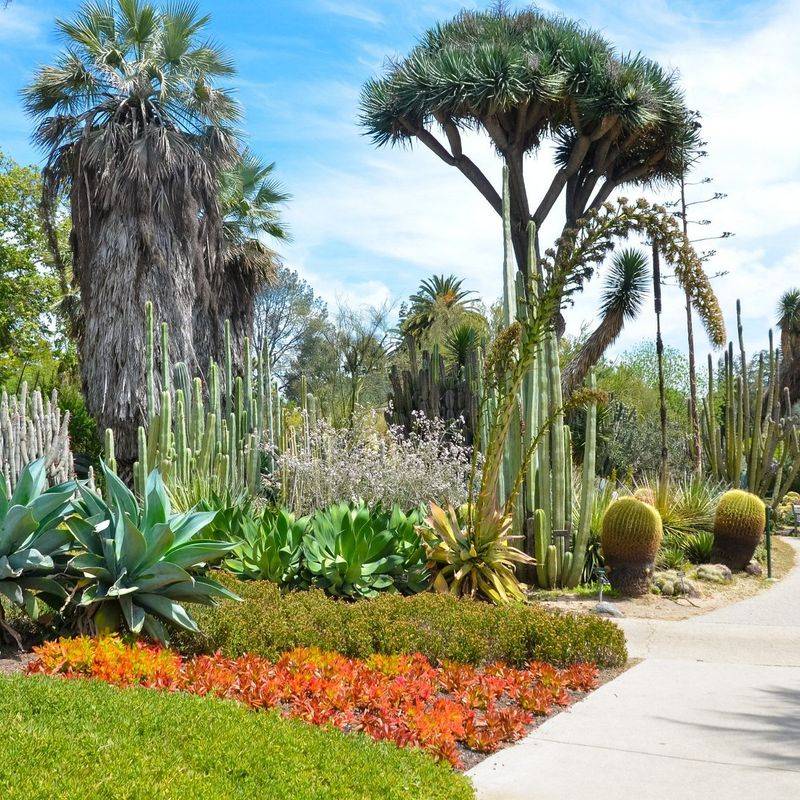 The Origins of the Huntington Desert Garden