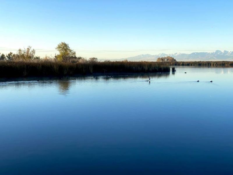 Reservoir Walks Hidden in Plain Sight