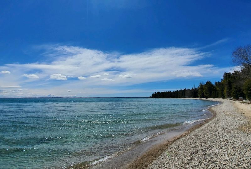A Shoreline Marked by Driftwood and Clear Water