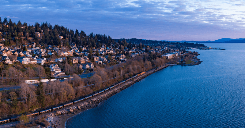 Visitors Drawn by More Than Movies