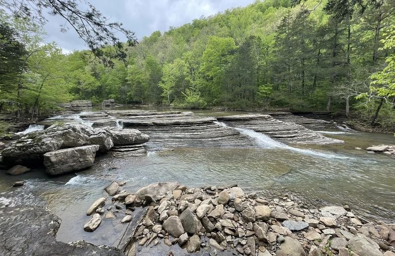 A Living Classroom Of Ozark Ecology