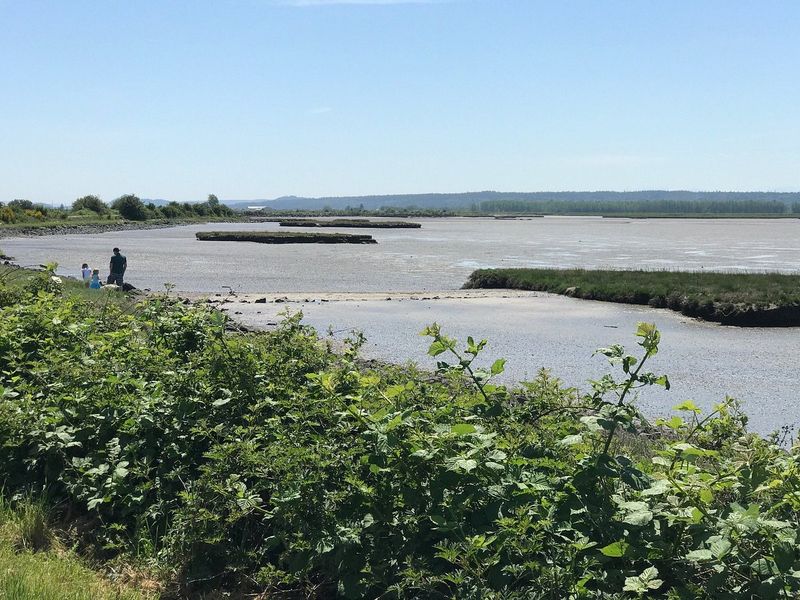 Nature Always Within Reach