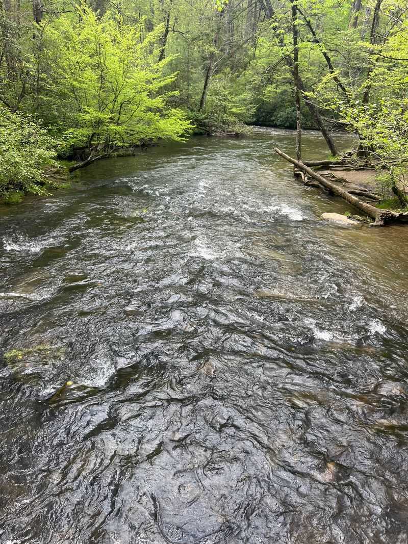 The River That Shapes the Town