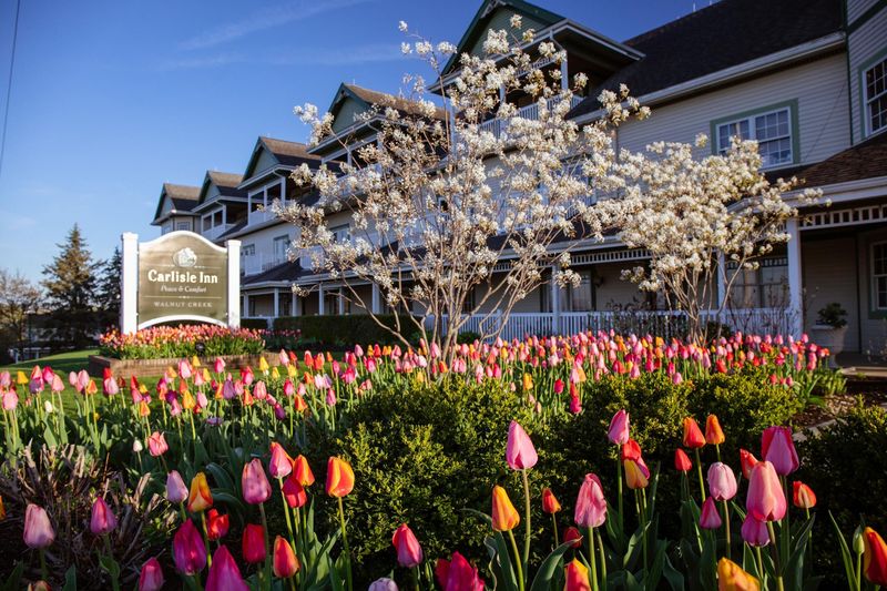 A Main Road That Naturally Slows Traffic